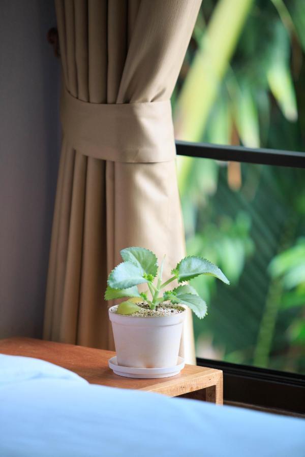 In My Place Cafotel Khlong Thom 外观 照片